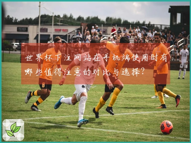 世界杯下注网站在手机端使用时有哪些值得注意的对比与选择？