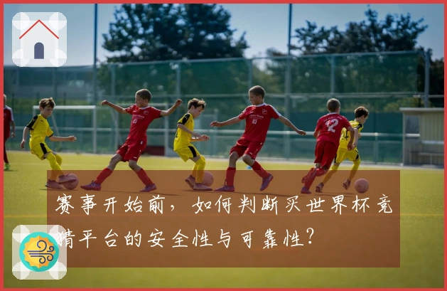 赛事开始前,如何判断买世界杯竞猜平台的安全性与可靠性?